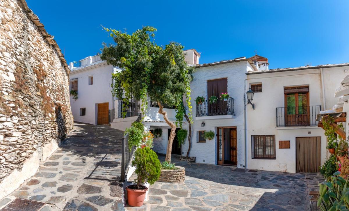 Casa Antonia Capileira La Alpujarra公寓 外观 照片