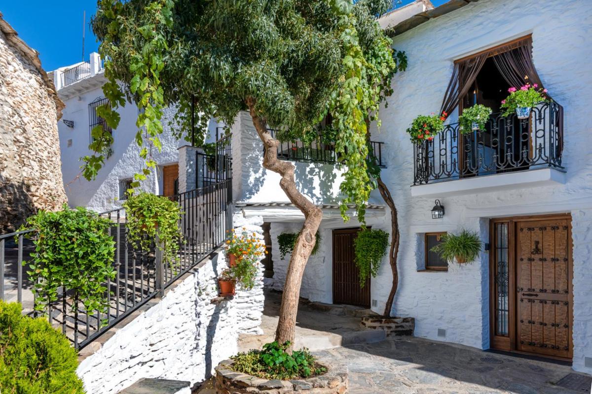 Casa Antonia Capileira La Alpujarra公寓 外观 照片